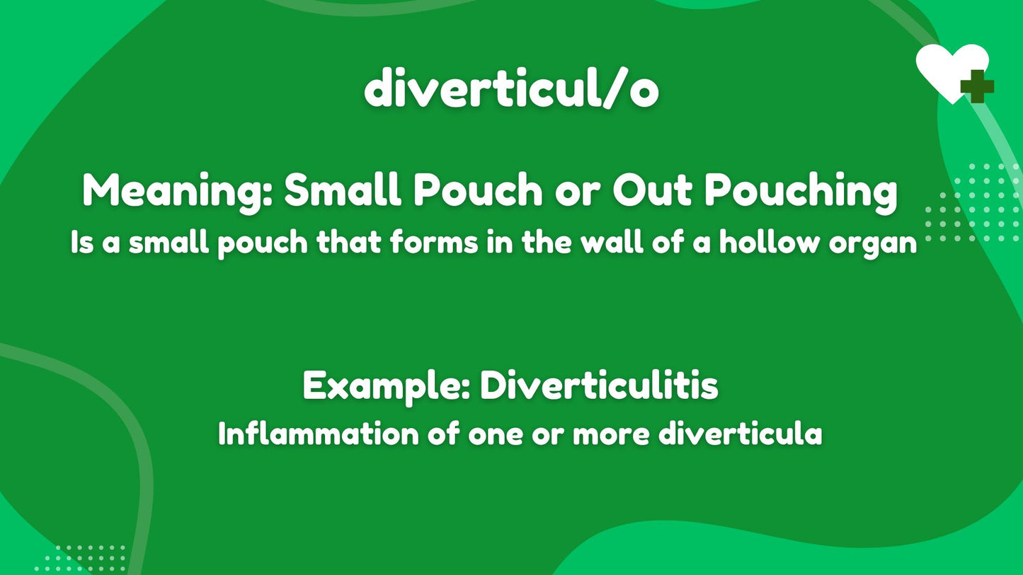 Root Words Medical Terminology Flashcards