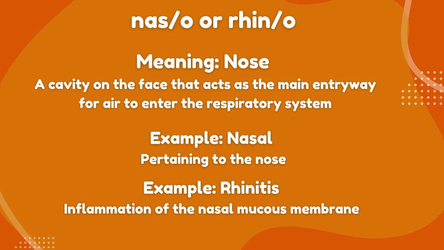 Root Words Medical Terminology Flashcards