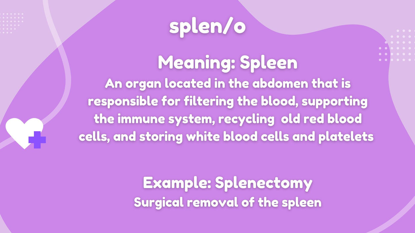 Root Words Medical Terminology Flashcards