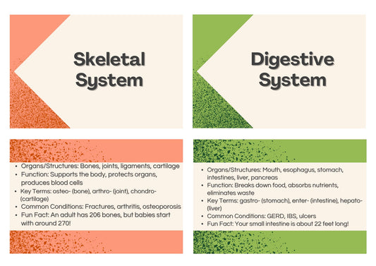 Body Systems Flashcards