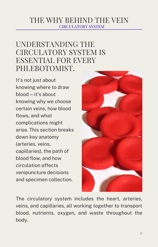 Stick Smart Studies: Phlebotomy Exam Prep Study Guide