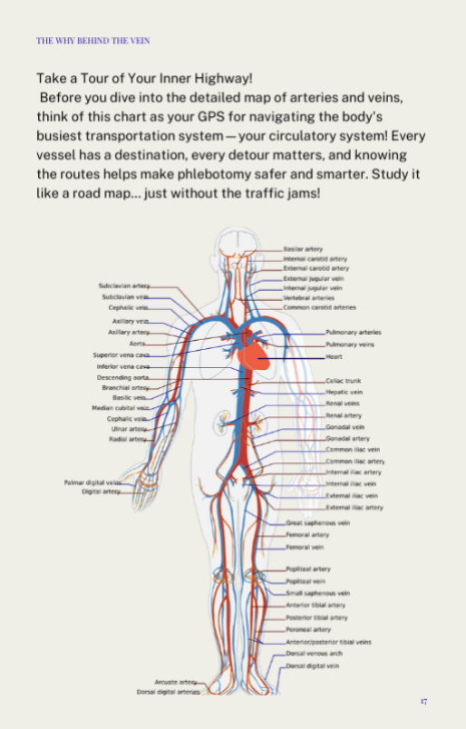 Stick Smart Studies: Phlebotomy Exam Prep Study Guide