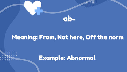 Prefix Medical Terminology Flashcards